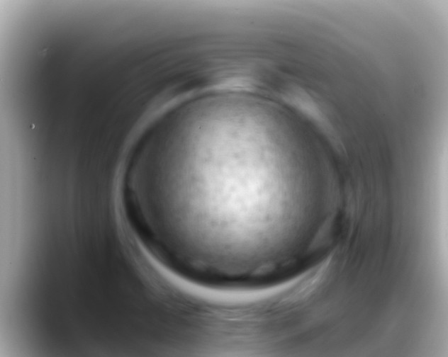 X0000088651422200706011213