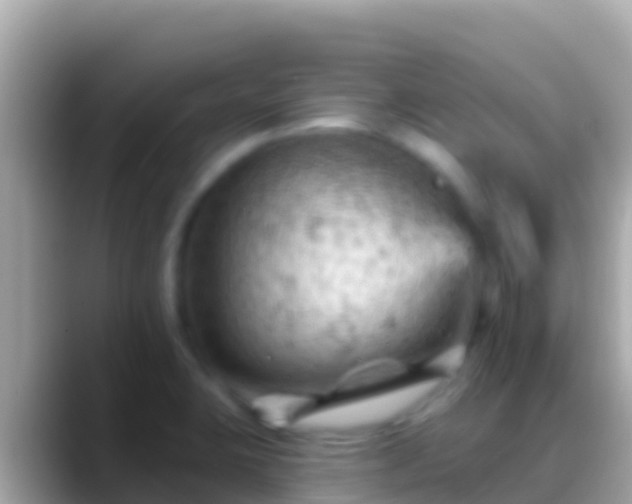 X0000088651423200706011213