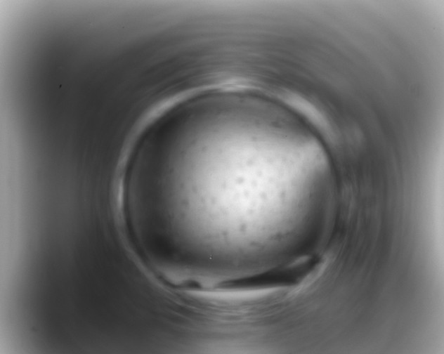 X0000088651424200706011213