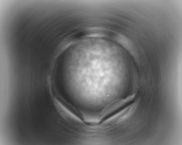 X0000088651425200706011213