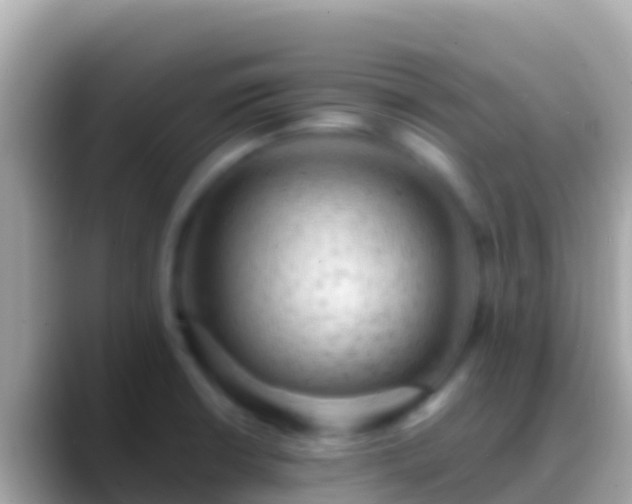 X0000088651426200706011213