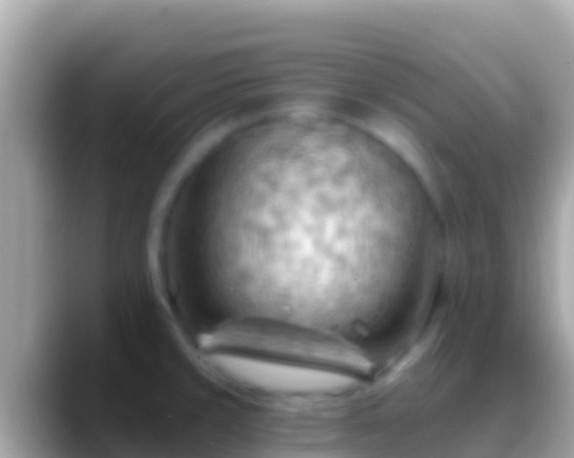 X0000088651429200706011213