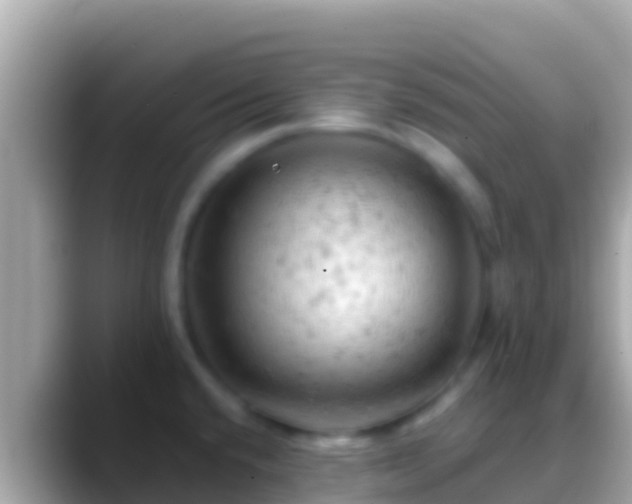 X0000088651432200706011213
