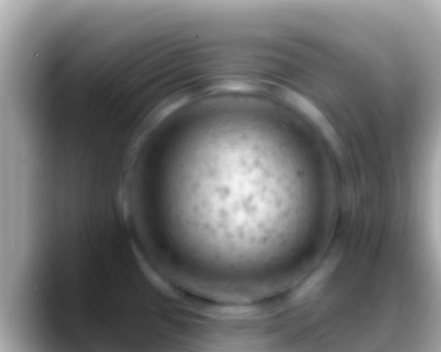 X0000088651433200706011213