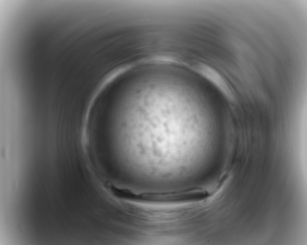 X0000088651436200706011213