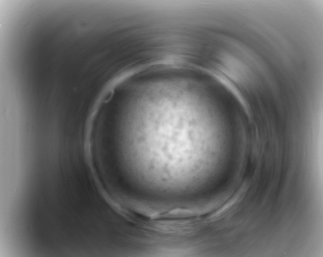 X0000088651437200706011213