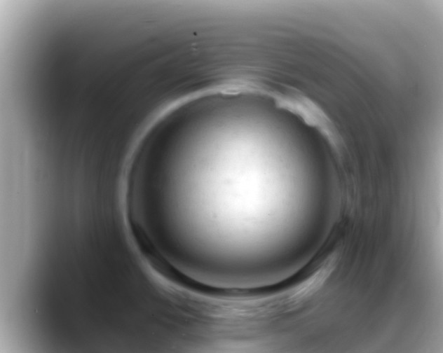 X0000088651438200706011213