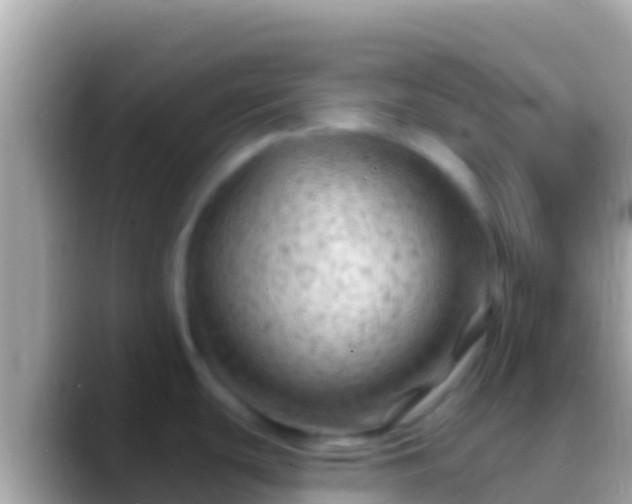 X0000088651439200706011213