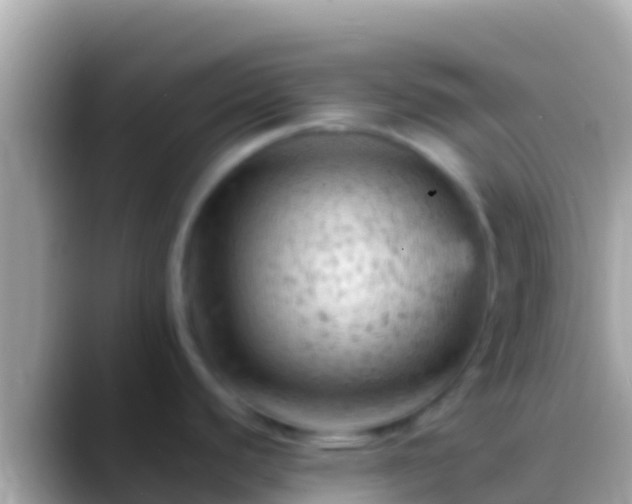 X0000088651440200706011213