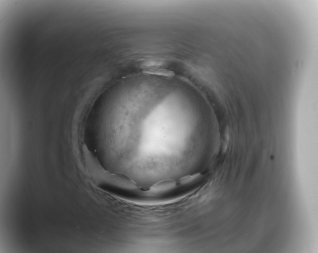 X0000088651441200706011212