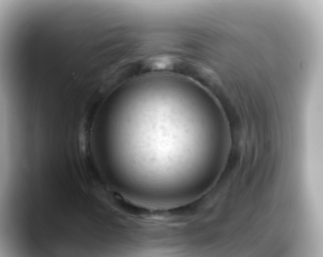 X0000088651442200706011212