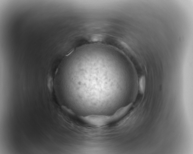 X0000088651443200706011212