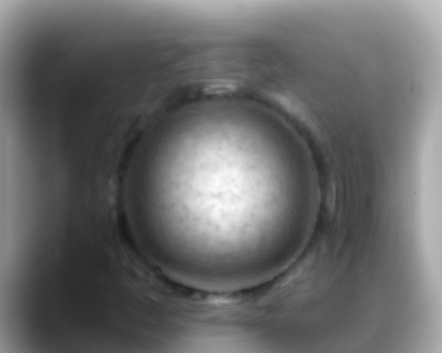 X0000088651445200706011212