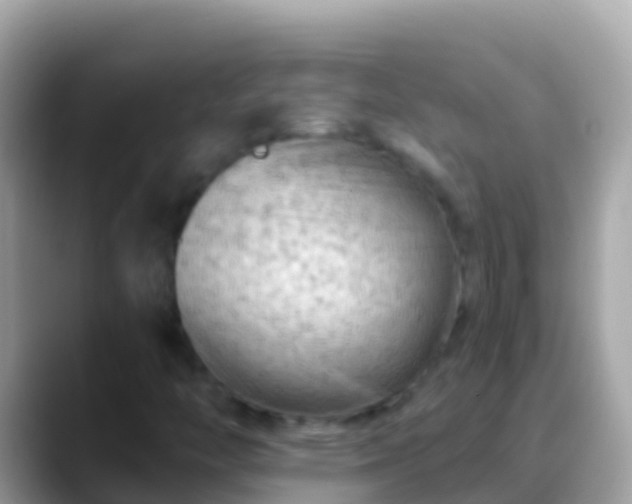 X0000088651446200706011212