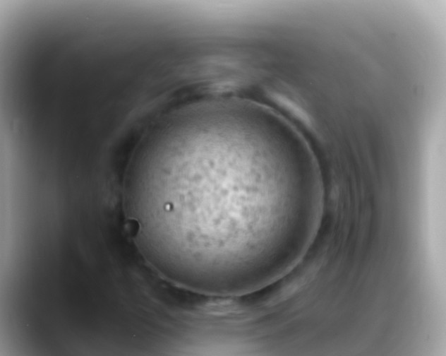 X0000088651447200706011212