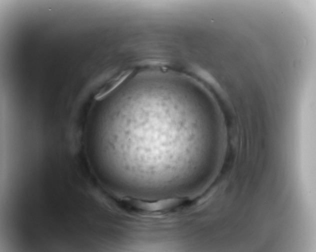 X0000088651448200706011212