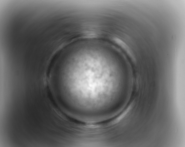 X0000088651449200706011212