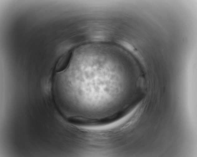 X0000088651450200706011212