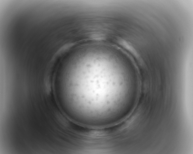 X0000088651451200706011212