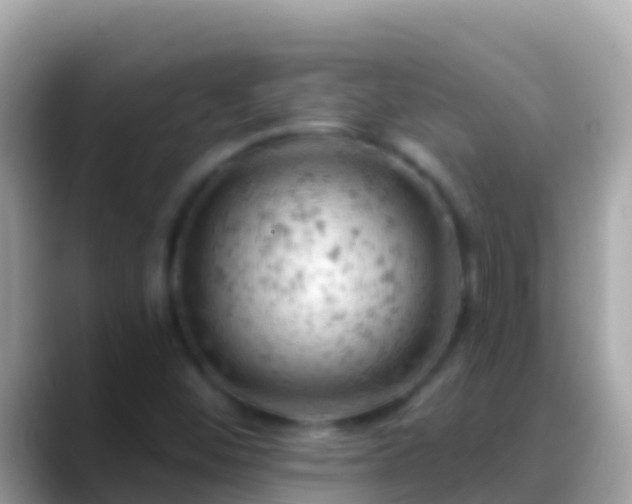 X0000088651452200706011212
