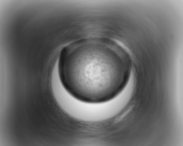X0000088651453200706011212