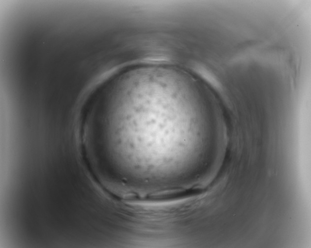 X0000088651456200706011212