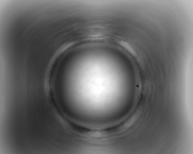 X0000088651458200706011212