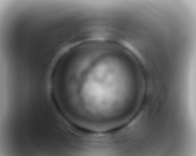 X0000088651459200706011212