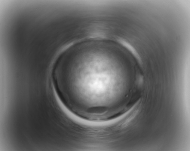 X0000088651461200706011212