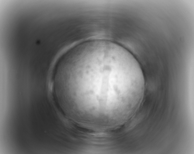 X0000088651462200706011212