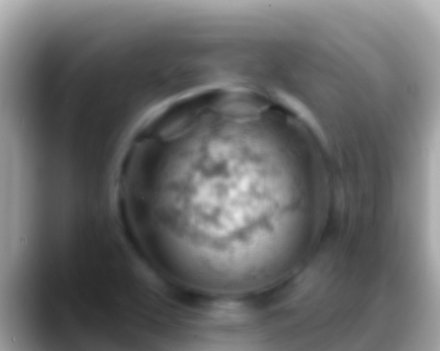 X0000088651463200706011212