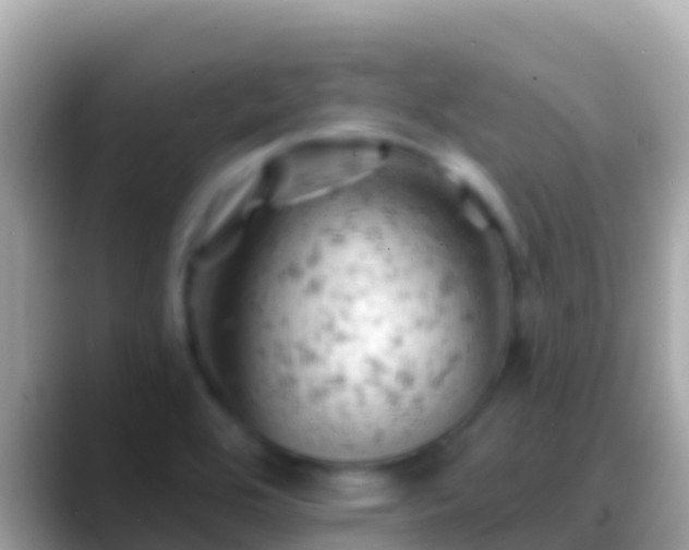 X0000088651464200706011212