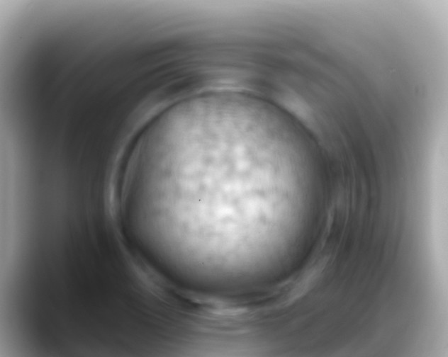 X0000088651466200706011212