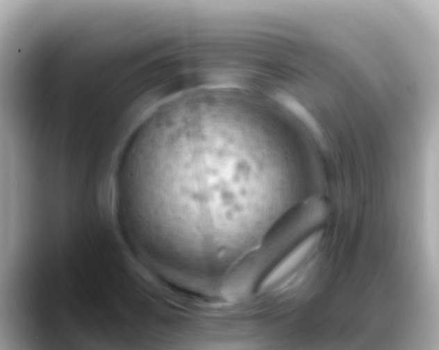 X0000088651467200706011212