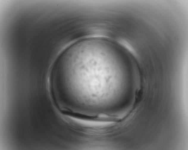 X0000088651468200706011212