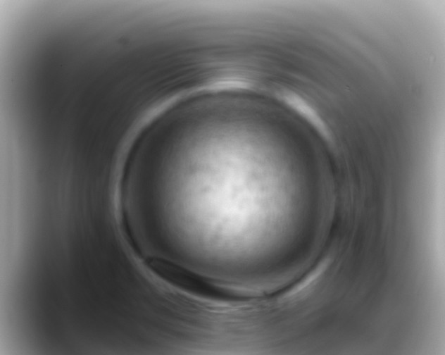 X0000088651469200706011212