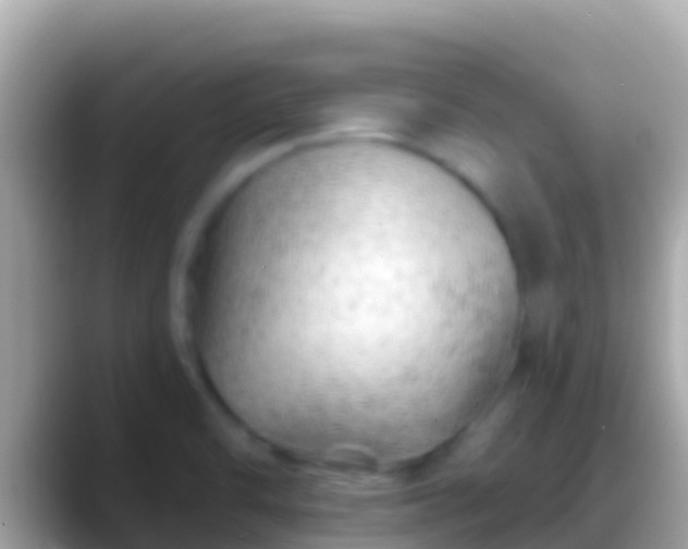 X0000088651470200706011212