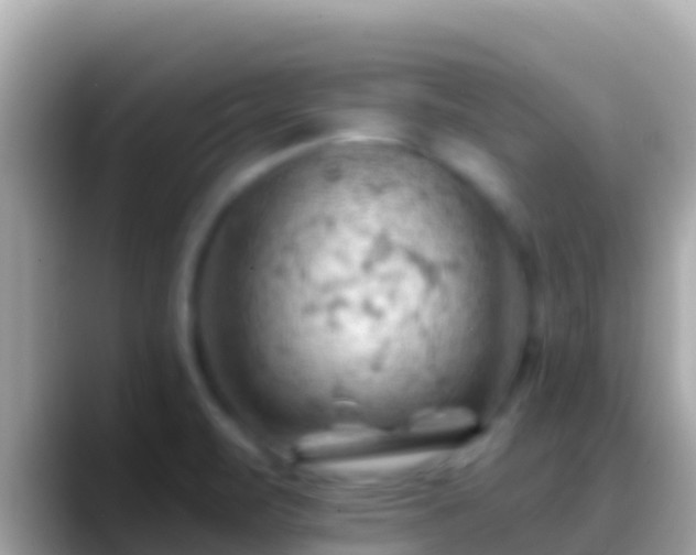 X0000088651471200706011212