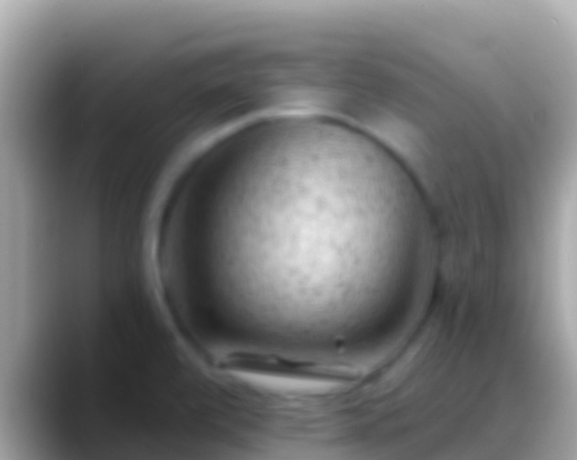 X0000088651472200706011212