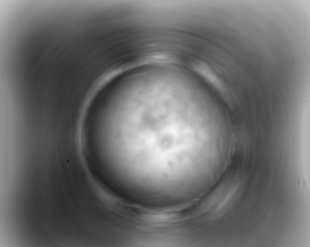 X0000088651474200706011212