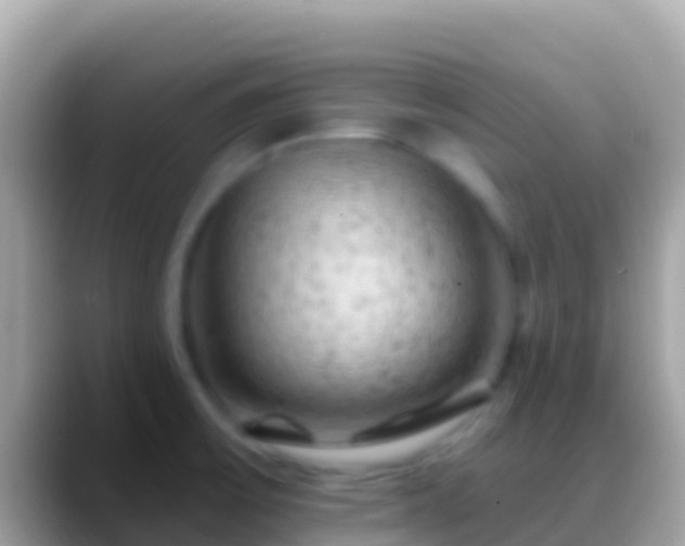 X0000088651475200706011212