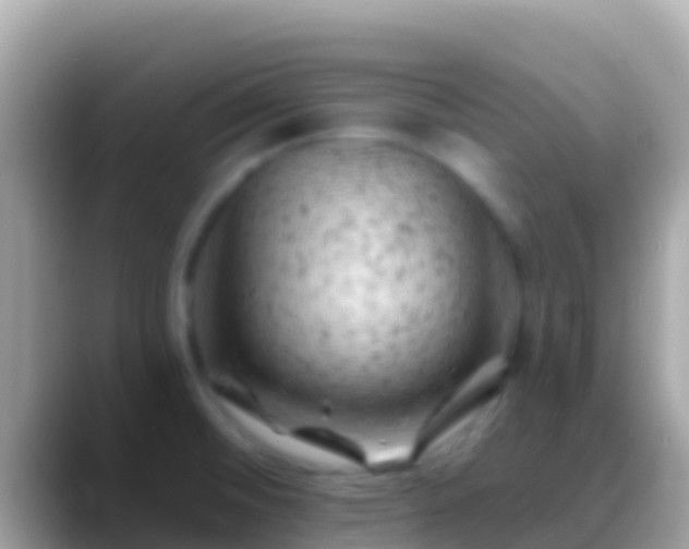 X0000088651476200706011212
