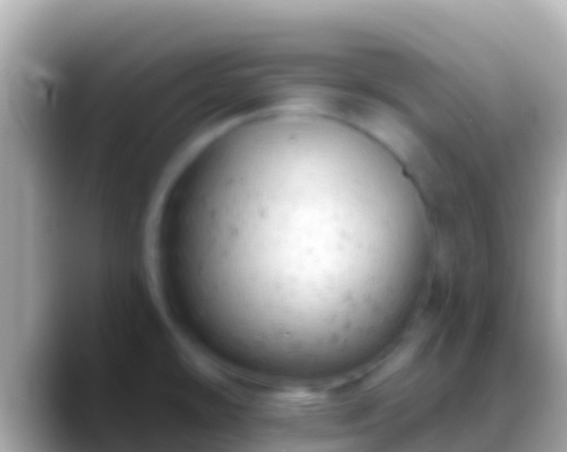 X0000088651478200706011212