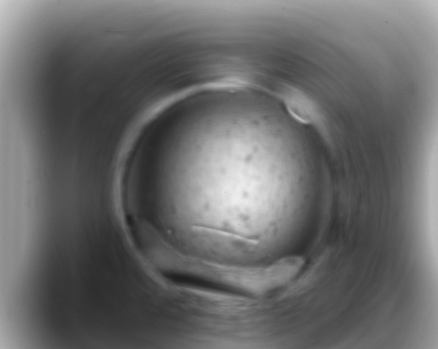 X0000088651480200706011212