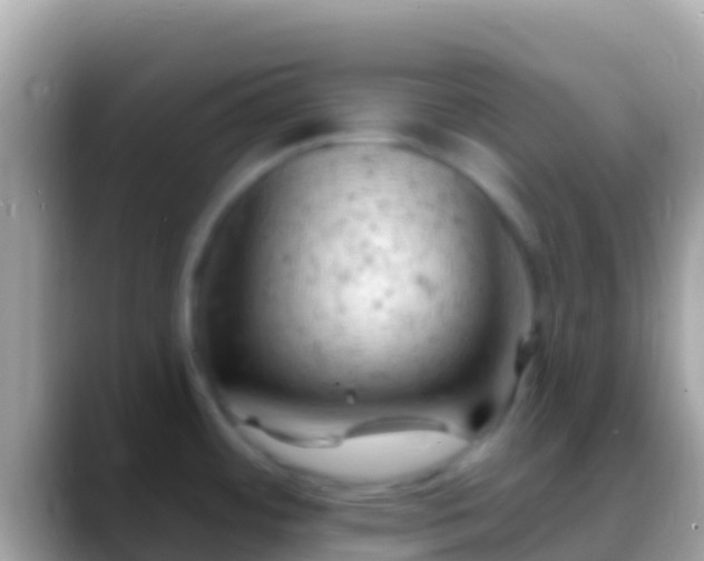 X0000088651484200706011212
