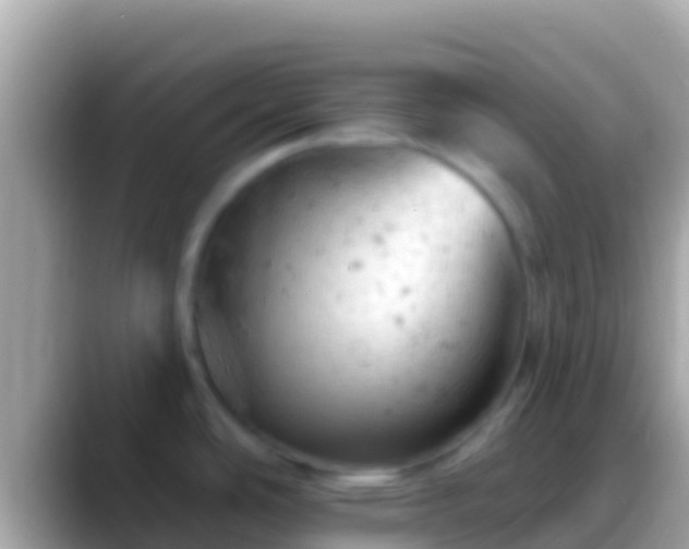 X0000088651486200706011212