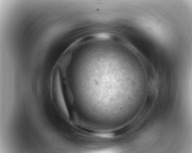 X0000088651487200706011212