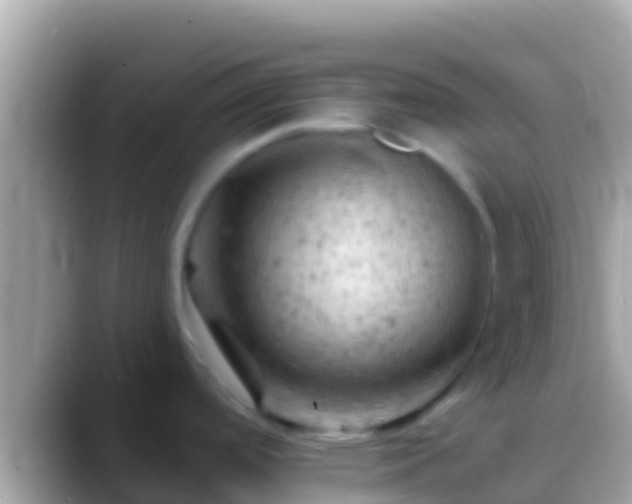 X0000088651488200706011212