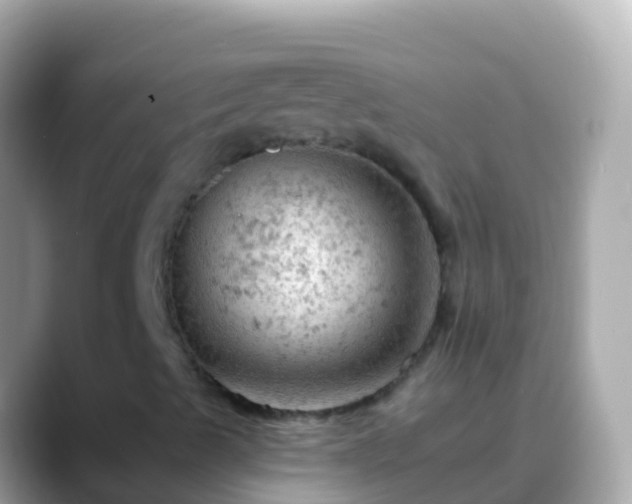 X0000088651489200706011211