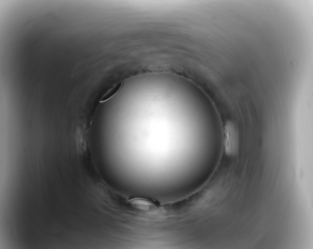 X0000088651491200706011211